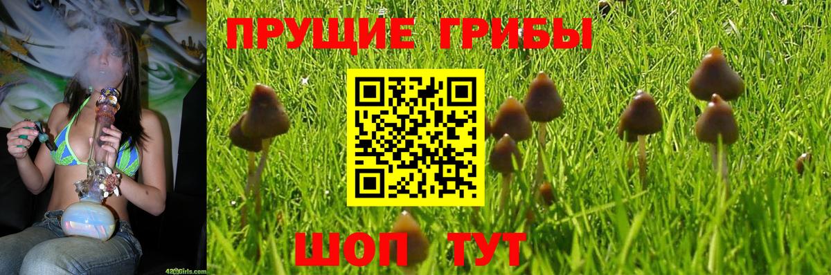 Псилоцибиновые грибы Cubensis  Вход с VPN  Галлюциногенные грибы ЛСД  Карталы 
